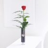 Single Kiss Rose Vase