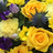Posy pad 03 400z