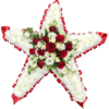 Star Tribute in Red and White