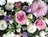 Loose wreath lilac pink crop